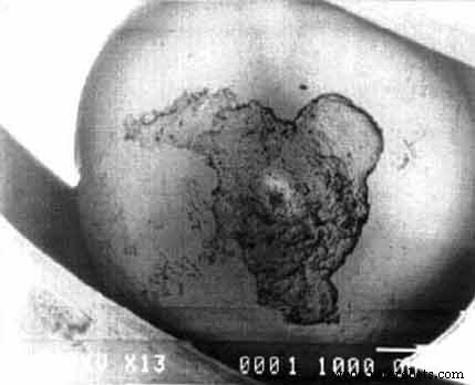 Predictive Maintenance: The Critical Role of Trend Analysis in Vibration Diagnostics