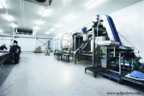 Ensuring Sanitary Practices in Pet Food Manufacturing: A Comprehensive Guide