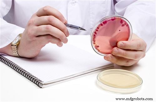 Ensuring Sanitary Practices in Pet Food Manufacturing: A Comprehensive Guide