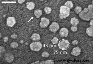 Revolutionizing Early Disease Detection with Nano‑Scale Biotech