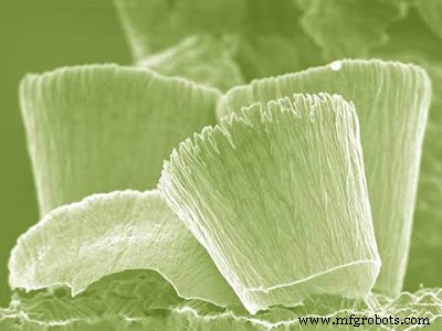 Nanocups: Advanced Light‑Bending Nanomaterials for Biomedical and Photonic Applications