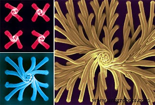 Nanofiber & Filament-Based Nanocarriers: Advancing Precision Drug Delivery