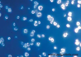 Nanodiamonds: Ultra‑Precise Magnetic Sensors for Biomedical and Quantum Applications