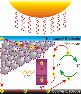 Nano‑Tree ZnO Nanowires Boost Dye‑Sensitized Solar Cell Efficiency