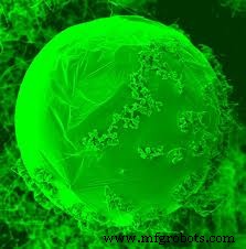 Semiconducting Nanoparticles: Quantum Confinement and Advanced Synthesis Techniques