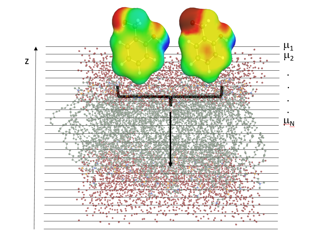 Advanced Prediction of Biomembrane Permeability with COSMOperm
