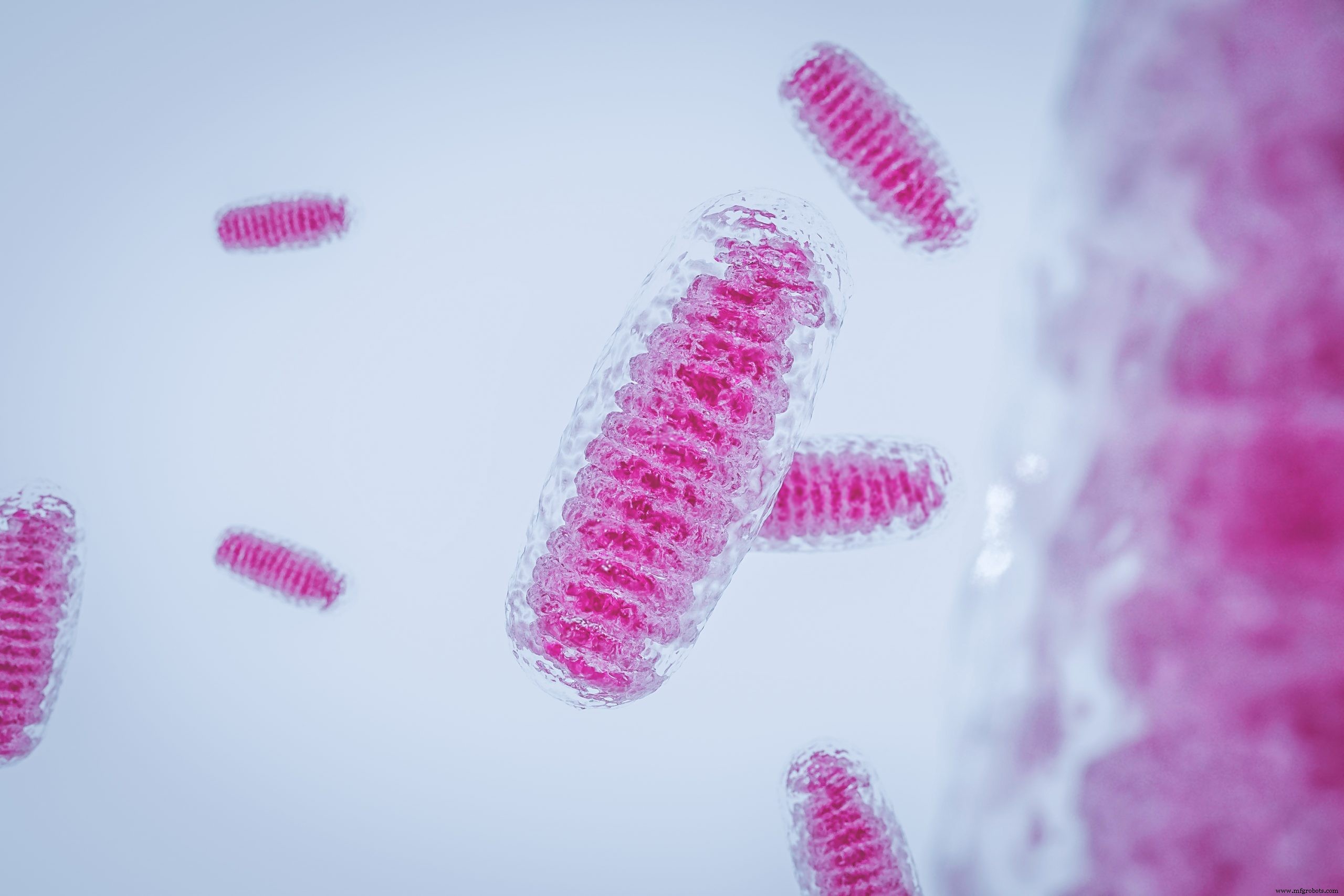 Predicting pH-Dependent Uncoupling Toxicity of Organic Acids: A Biophysical Screening Tool