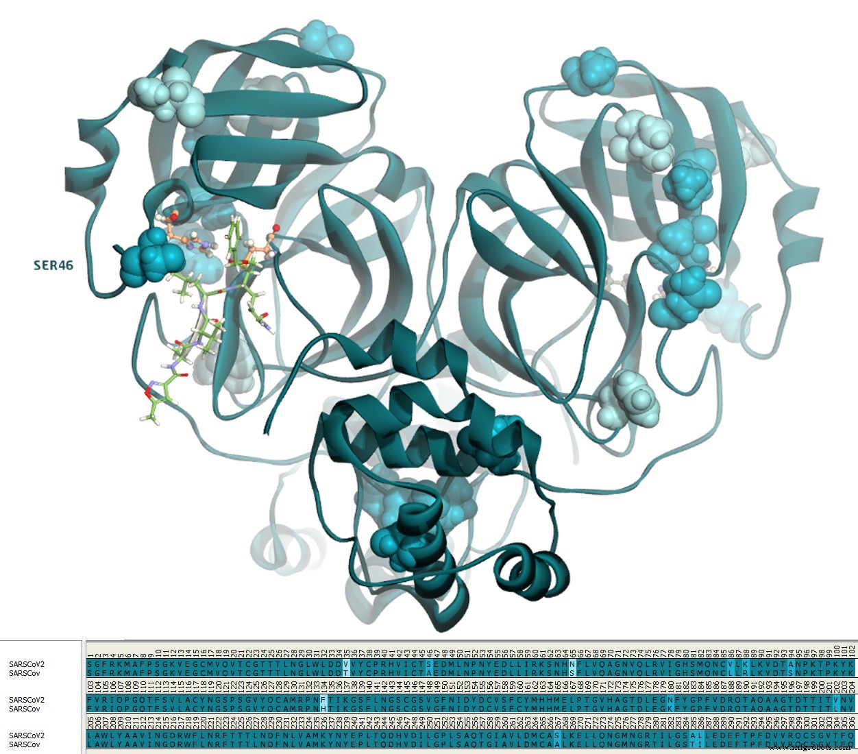 Repurposing FDA‑Approved Drugs to Inhibit SARS‑CoV‑2 Main Protease: A Virtual Screening Analysis