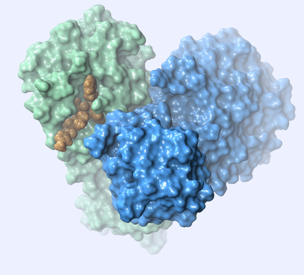 Repurposing FDA‑Approved Drugs to Inhibit SARS‑CoV‑2 Main Protease: A Virtual Screening Analysis