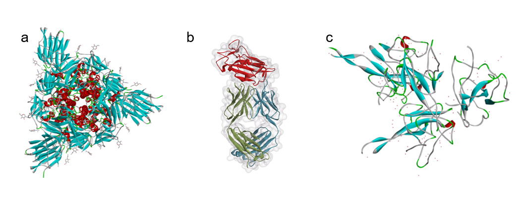 Decoding SARS‑CoV‑2 Genomes: DNA & Antibody Tests for COVID‑19