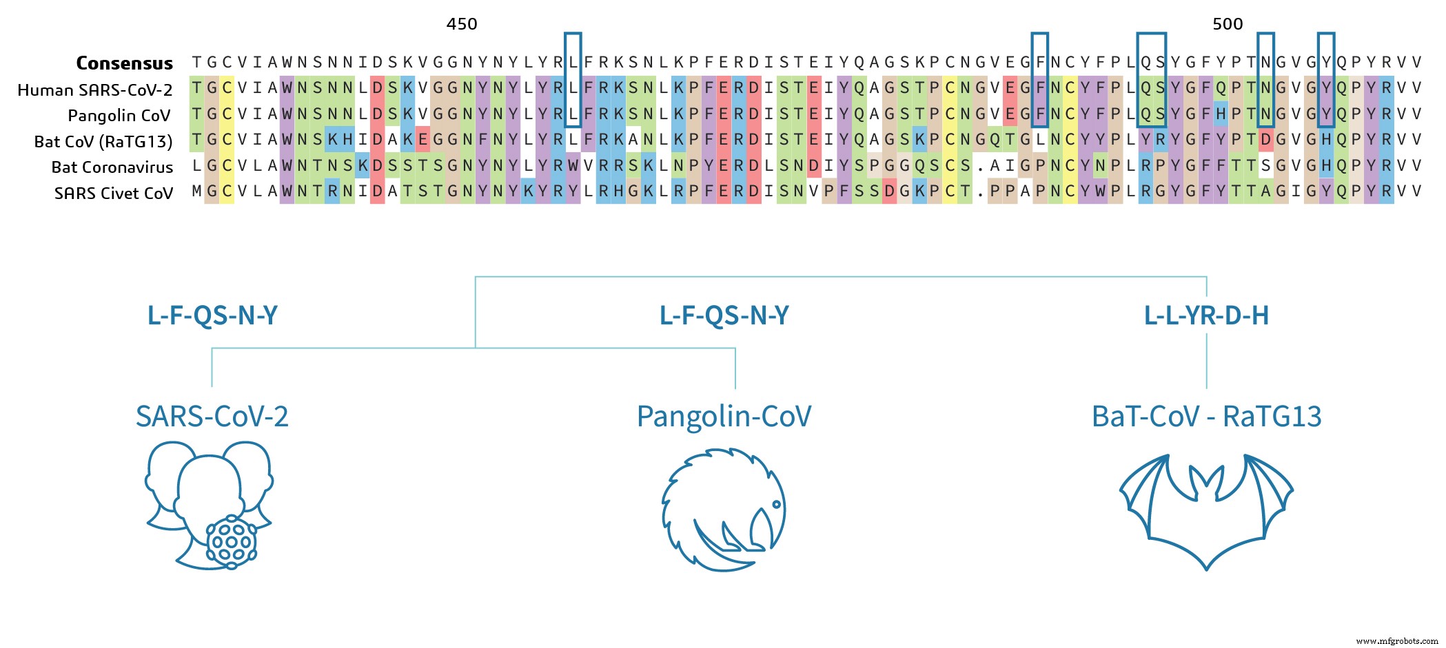 Unraveling the Origins of SARS‑CoV‑2: A Genomic Perspective