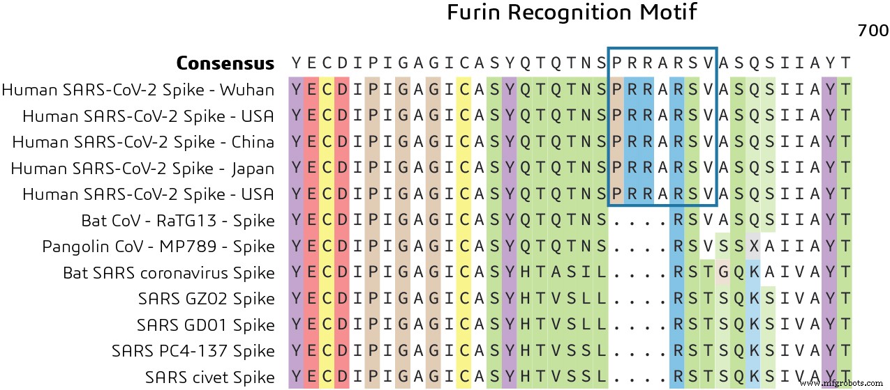 Unraveling the Origins of SARS‑CoV‑2: A Genomic Perspective