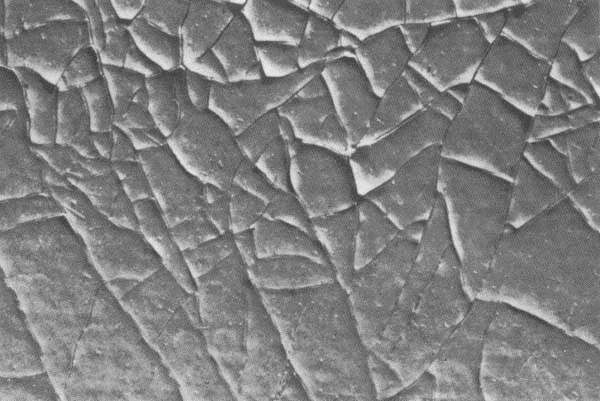 Understanding 10 Key Plastic Manufacturing Terms—A Practical Guide