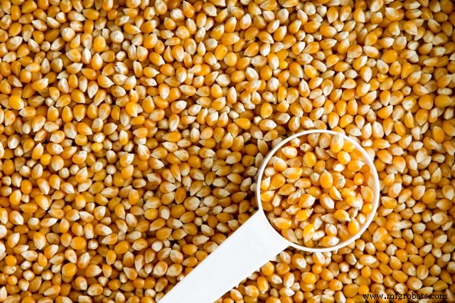 Expert Overview of Biodegradable Plastics: Facts, History, and Applications