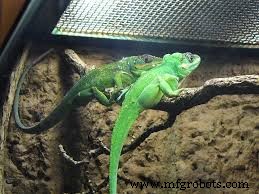 High‑Performance Teflon® (PTFE) Fasteners & Custom Parts for Extreme Environments