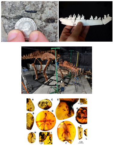 Revealing History: How 3D Printing Transforms Archaeology and Paleontology