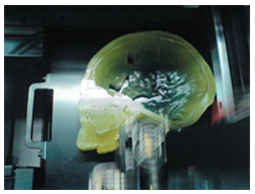 Revealing History: How 3D Printing Transforms Archaeology and Paleontology