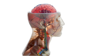 Designing and 3D‑Printing Custom Clean Station Baskets