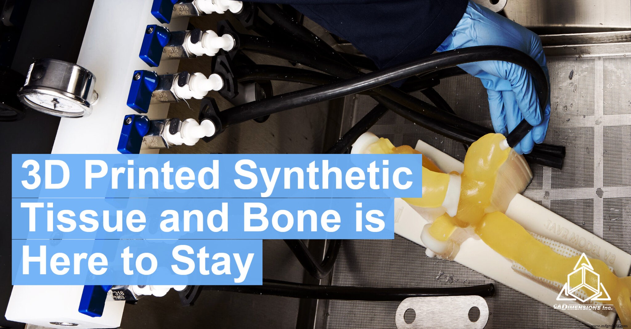 Why 3D‑Printed Synthetic Body Parts Are Revolutionizing Medical Device Development