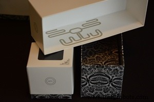 The Internet of Boxes: How Smart Packaging Is Revolutionizing Business