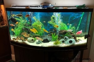 IoT Security Lessons from Recent Breaches: Protecting Your Enterprise