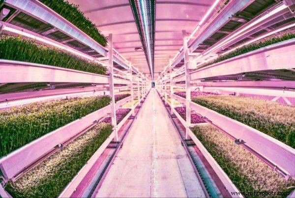 Five Key AgTech Innovations That Transformed Agriculture in 2016