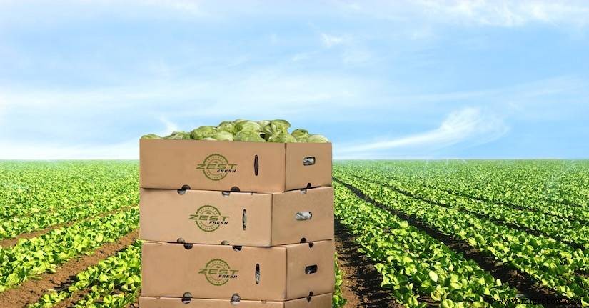 Zest Labs Leverages IoT and Blockchain to Revolutionize Fresh Food Supply Chains