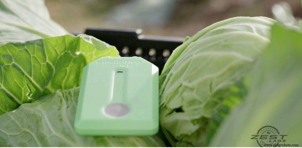 Zest Labs Leverages IoT and Blockchain to Revolutionize Fresh Food Supply Chains