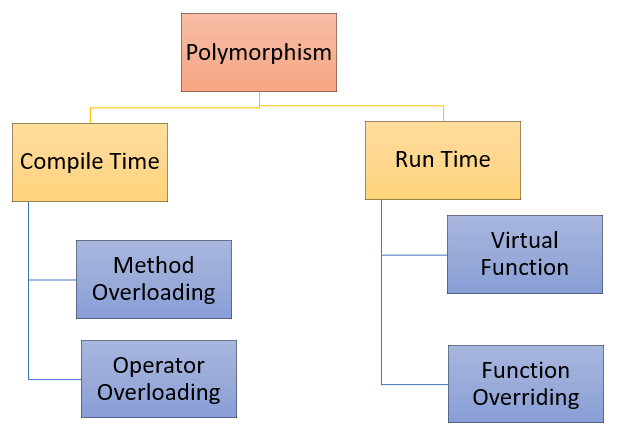 C++ Polymorphism Explained: Practical Examples & Key Concepts