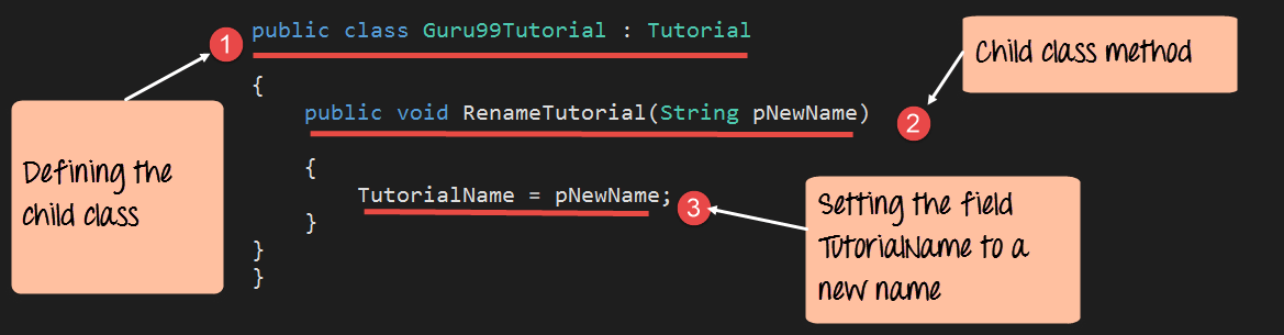 Master C# Inheritance & Polymorphism: Practical Code Examples