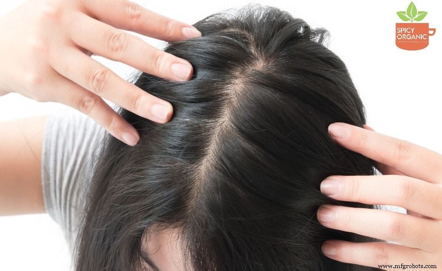 Can Organic Amla Powder Truly Revert Gray Hair? Evidence & Practical Tips