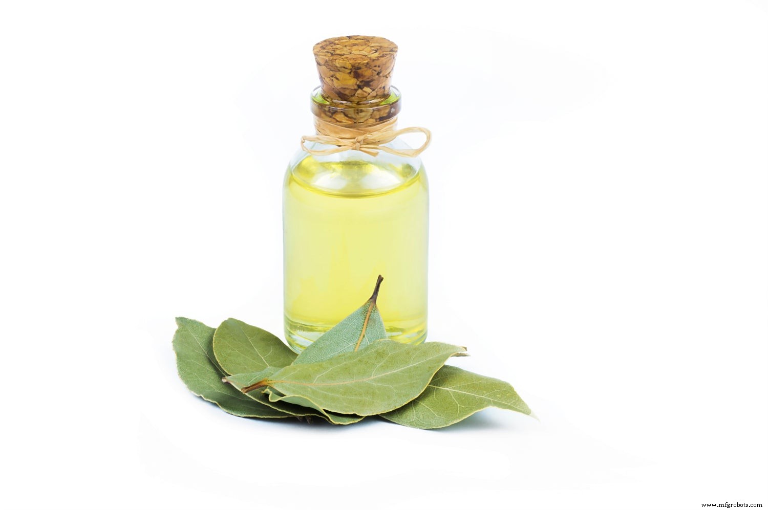 Top 9 Proven Health Benefits of Organic Bay Leaves (With Expert Usage Tips)