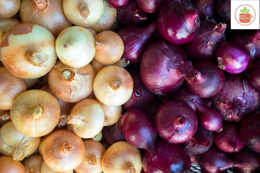 Why Growing Organic Onions from Seeds Is a Smart Choice