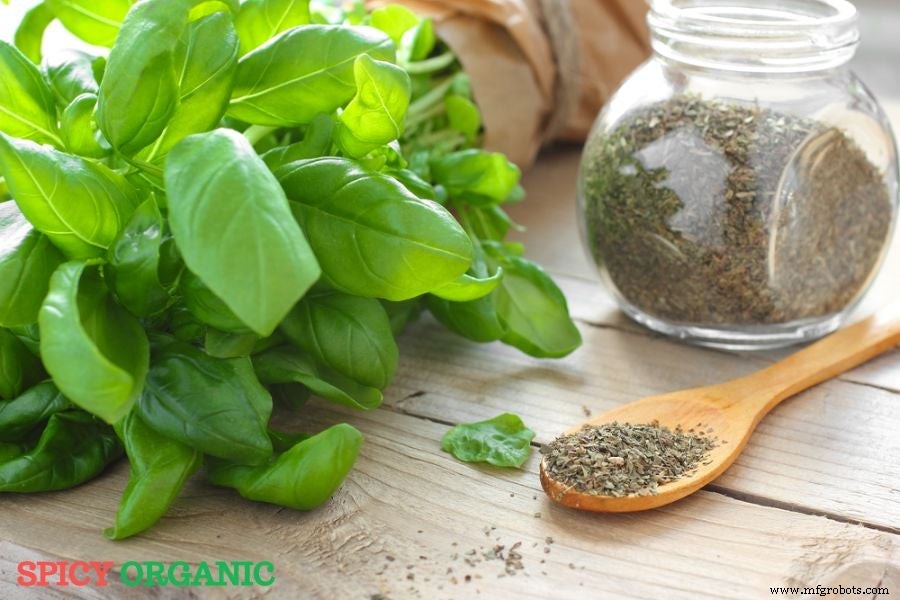 Bay Leaves vs. Basil Leaves: Key Differences & When to Use Each