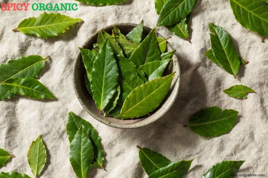 Bay Leaves vs. Basil Leaves: Key Differences & When to Use Each