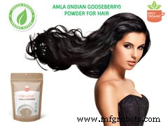 11 Proven Health Benefits of Organic Amla (Gooseberry) Powder
