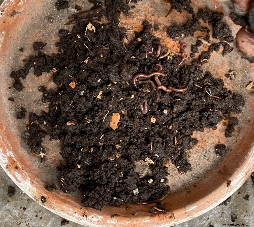 The Slow Art of Natural Textile Dyeing: A Personal Journey