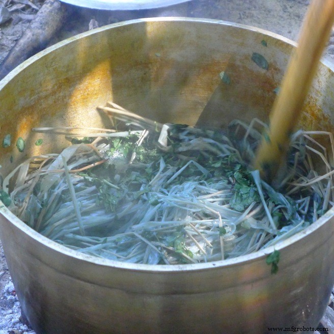 Mastering Fresh Indigo Leaf Dyeing: A Sustainable Approach