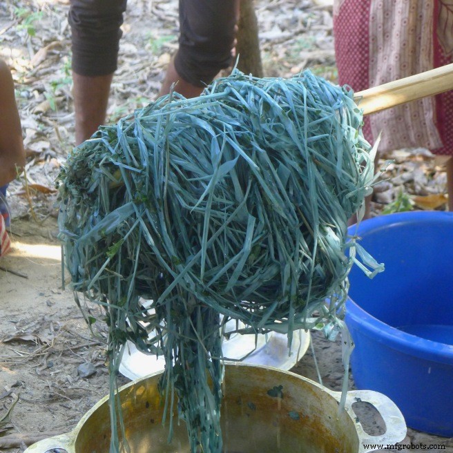 Mastering Fresh Indigo Leaf Dyeing: A Sustainable Approach