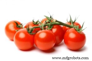 EPO Clarifies Patent Exclusions for Plants and Animals Derived Solely by Biological Breeding