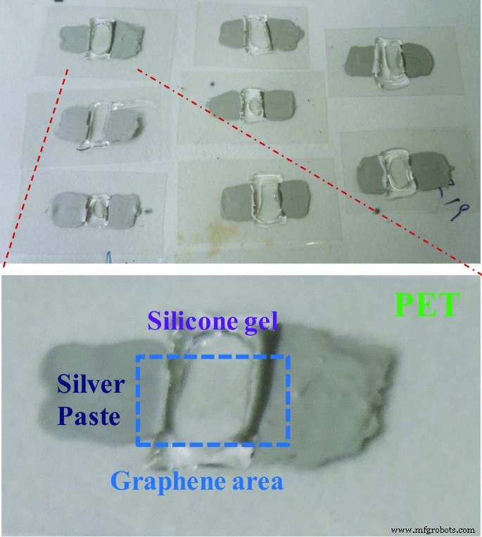 A Flexible Graphene Biosensor for Rapid, Highly Sensitive Detection of Ovarian Cancer Cells