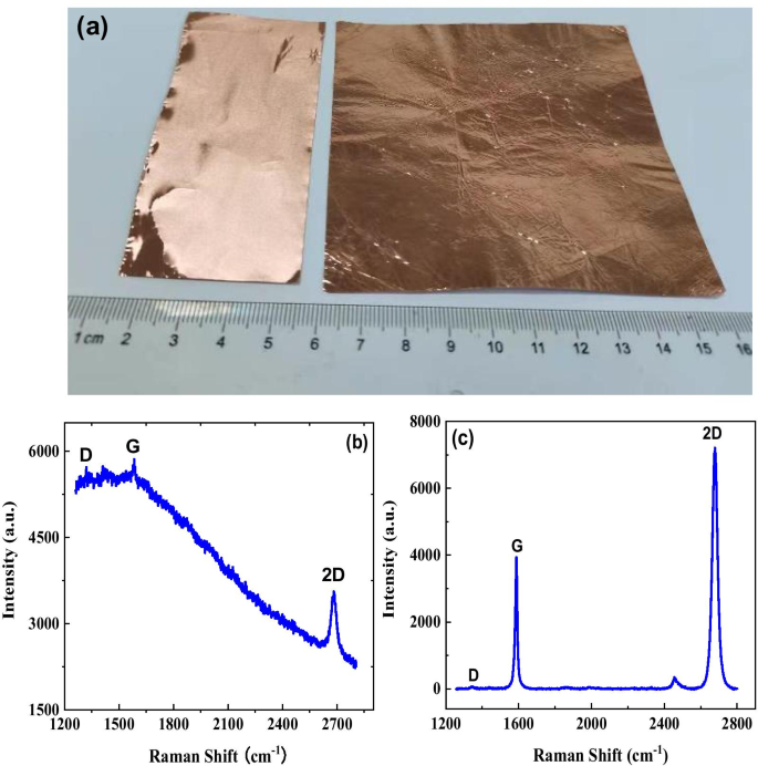 A Flexible Graphene Biosensor for Rapid, Highly Sensitive Detection of Ovarian Cancer Cells