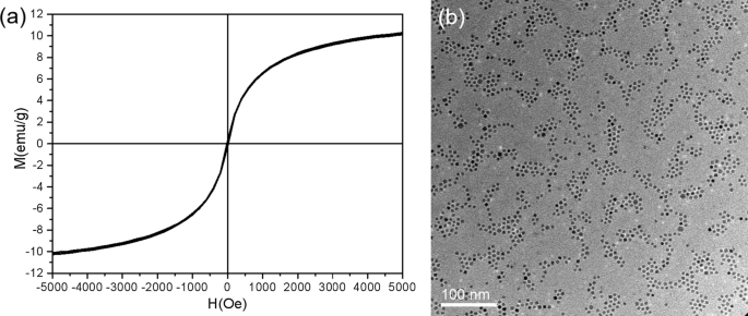 Mechanism of Ordered, Densely Packed Nanoparticle Superlattices Formed by Gas‑Phase Deposition on Template‑Free Surfaces