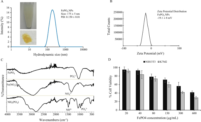 FePO4 Nanoparticles: Biocompatible Carriers for Doxorubicin Delivery, RNA Stabilization, and Enhanced Anticancer Activity