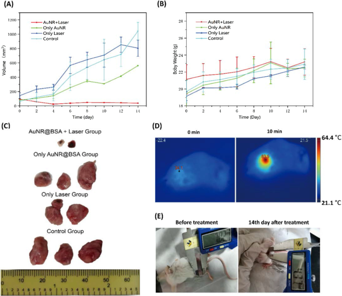 Bovine Serum Albumin–Coated Gold Nanorods Enable Low‑Dose NIR‑II Photothermal Therapy
