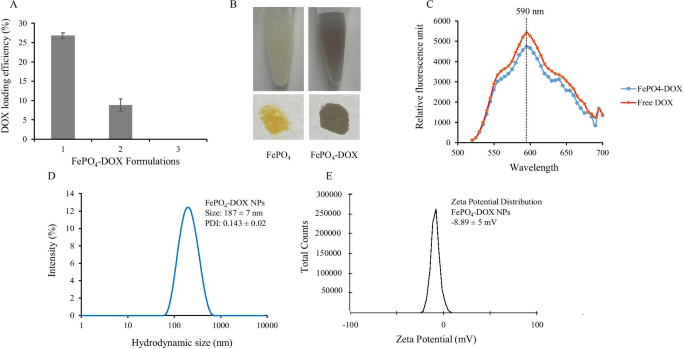 FePO4 Nanoparticles: Biocompatible Carriers for Doxorubicin Delivery, RNA Stabilization, and Enhanced Anticancer Activity