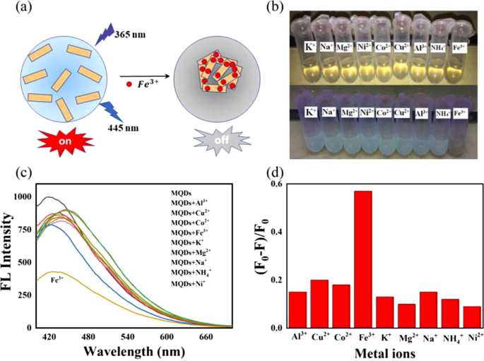 N,N‑Dimethylformamide Modulates MXene Quantum Dot Fluorescence for Ultra‑Sensitive Fe³⁺ Detection