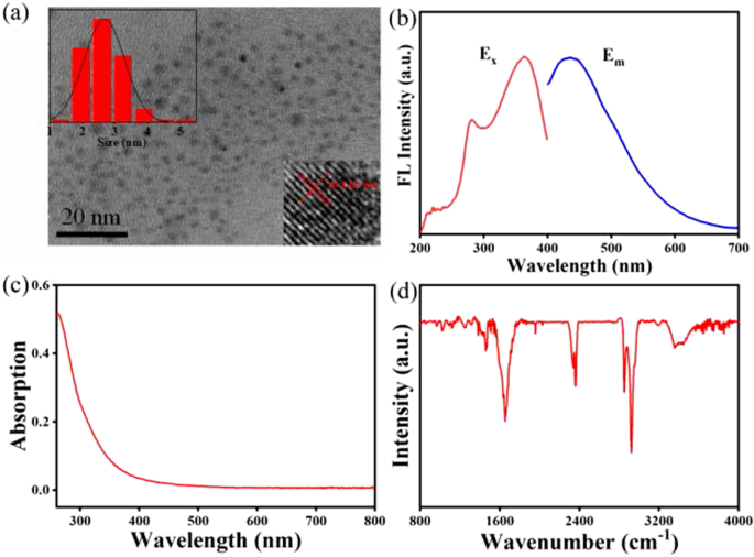 N,N‑Dimethylformamide Modulates MXene Quantum Dot Fluorescence for Ultra‑Sensitive Fe³⁺ Detection