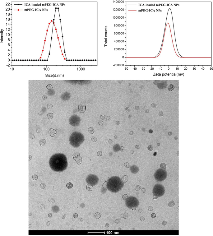 Icariin‑Loaded mPEG Nanoparticles: Enhanced Protection Against LPS‑Induced Cardiotoxicity in H9c2 Cells