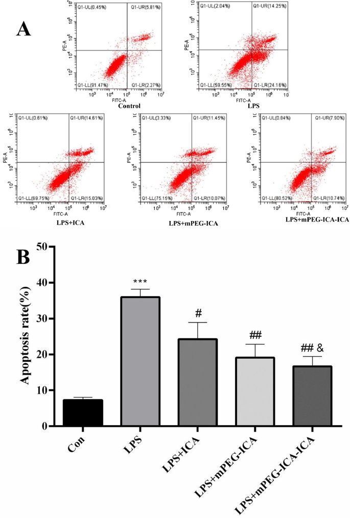 Icariin‑Loaded mPEG Nanoparticles: Enhanced Protection Against LPS‑Induced Cardiotoxicity in H9c2 Cells